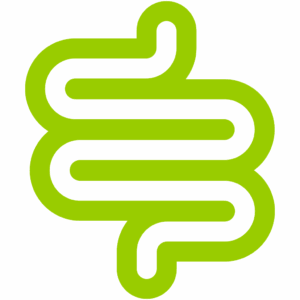 icones-thematiques-vertes_0005_Objet-dynamique-vectoriel